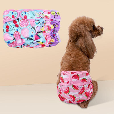 Fruit Print Washable Female Dog Diapers Absorbent Reusable Dog Panties - iTalkPet