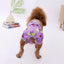 Fruit Print Washable Female Dog Diapers Absorbent Reusable Dog Panties - iTalkPet