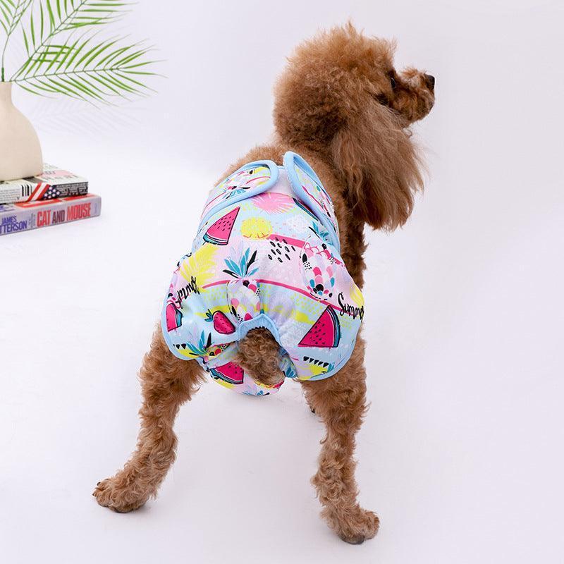 Fruit Print Washable Female Dog Diapers Absorbent Reusable Dog Panties - iTalkPet