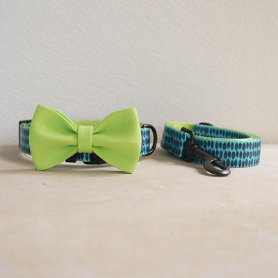 Green Ink Personalized Dog Collar with Leas & Bow tie Set - iTalkPet