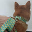 Green Parrot Personalized Dog Collar with Leas & Bow tie Set - iTalkPet