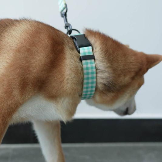 Green Plaid Personalized Dog Collar with Leas & Bow tie Set - iTalkPet