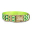 Green Waves Personalized Dog Collar with Leas & Bow tie Set - iTalkPet