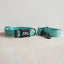 Green Zebra Personalized Dog Collar with Leas & Bow tie Set - iTalkPet