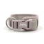 Grey Striped Solid Personalized Dog Collar - iTalkPet