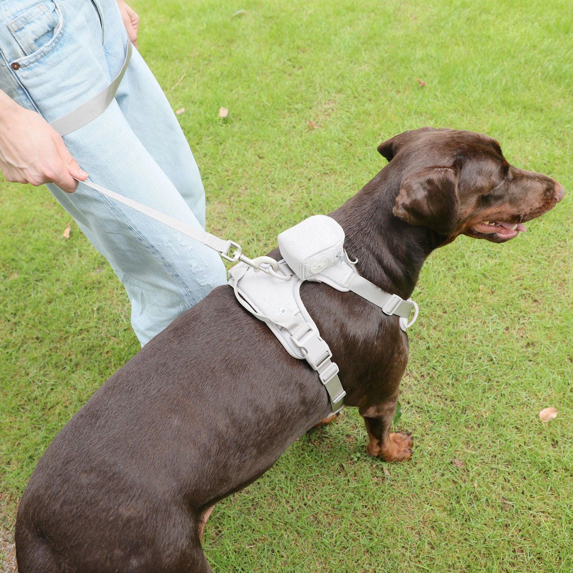 Grey Striped Solid Personalized Dog Collar - iTalkPet