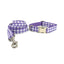 Grid Custom Dog Collar with Bow Tie & Leash Set - iTalkPet