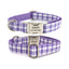 Grid Custom Dog Collar with Bow Tie & Leash Set - iTalkPet