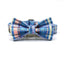 Grid Custom Dog Collar with Bow Tie & Leash Set - iTalkPet