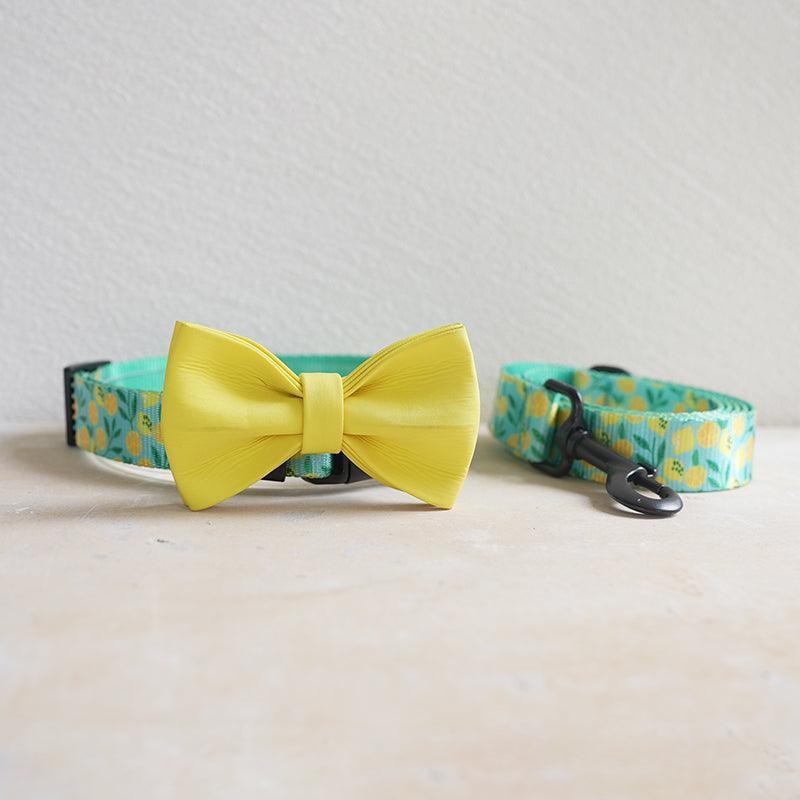 Lemon Personalized Dog Collar with Leas & Bow tie Set - iTalkPet