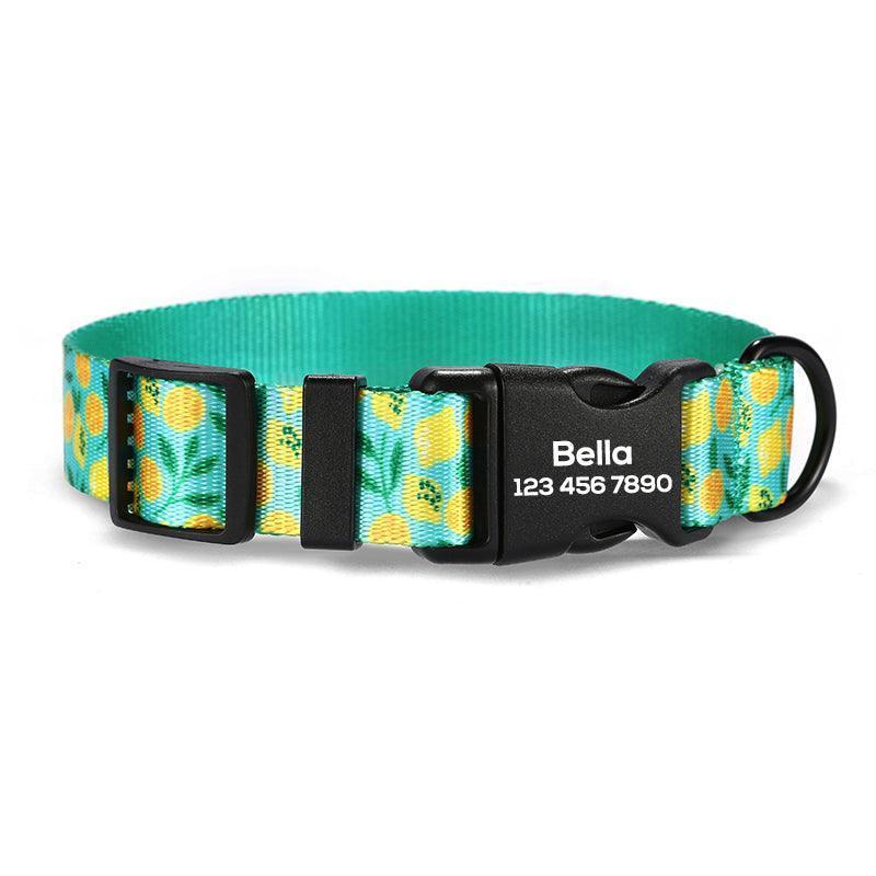 Lemon Personalized Dog Collar with Leas & Bow tie Set - iTalkPet