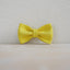 Lemon Personalized Dog Collar with Leas & Bow tie Set - iTalkPet