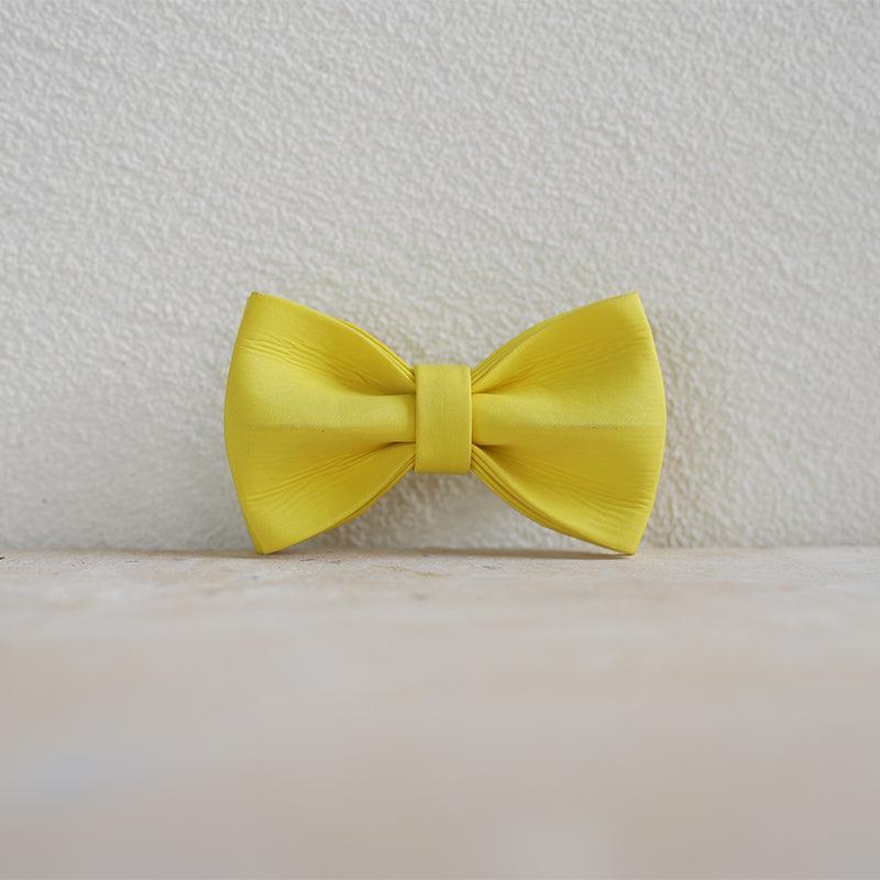 Lemon Personalized Dog Collar with Leas & Bow tie Set - iTalkPet