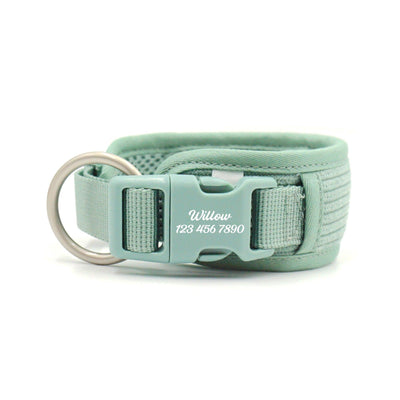 Light Green Striped Solid Personalized Dog Collar - iTalkPet