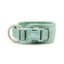 Light Green Striped Solid Personalized Dog Collar - iTalkPet