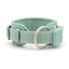 Light Green Striped Solid Personalized Dog Collar - iTalkPet