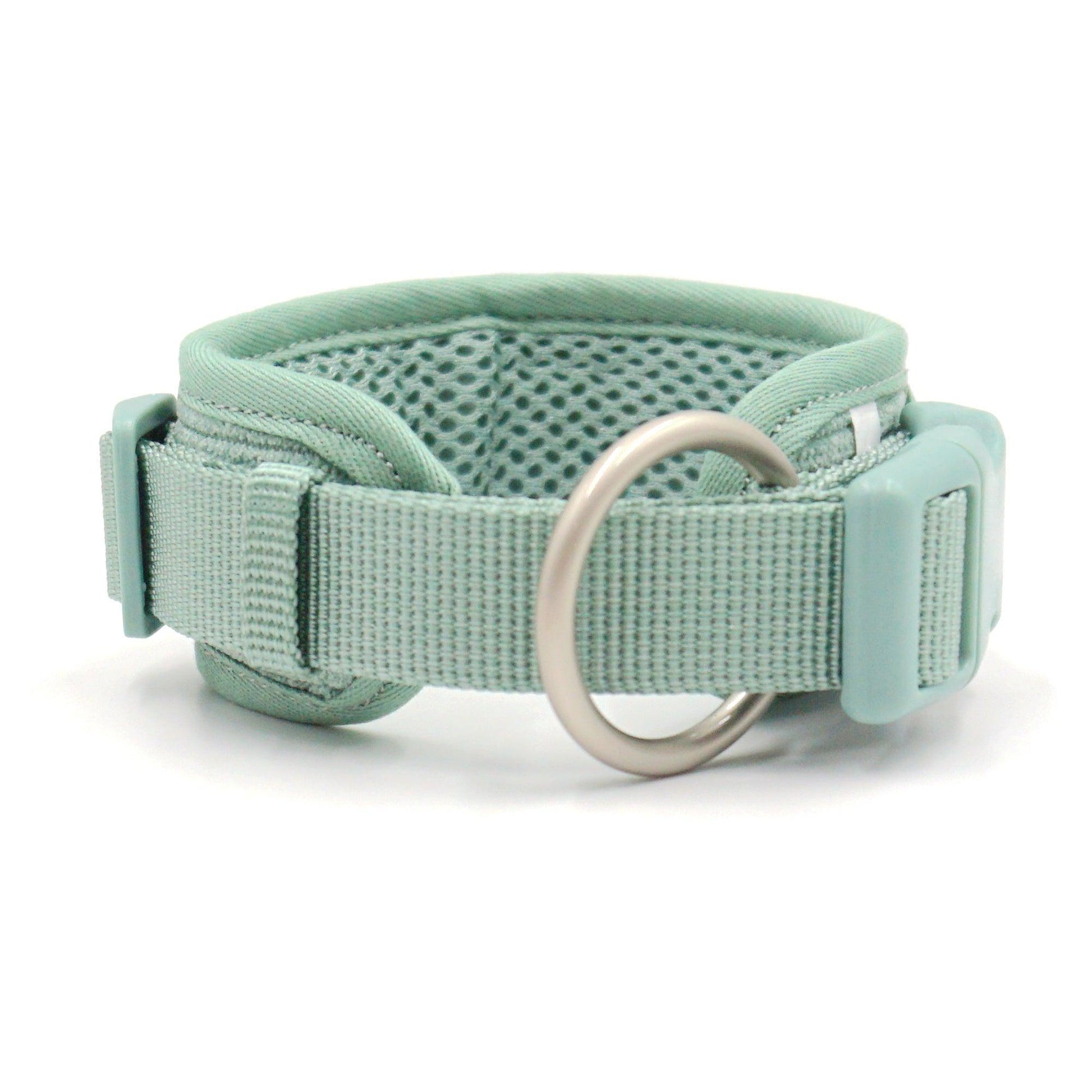 Light Green Striped Solid Personalized Dog Collar - iTalkPet