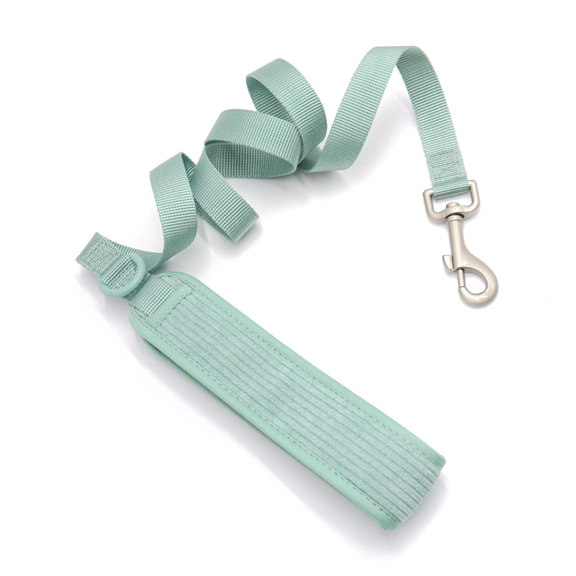 Light Green Striped Solid Personalized Dog Collar - iTalkPet