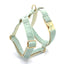 Light Green Velvet Personalized Dog Collar Leash Harness Bowtie Poop Bag Set - iTalkPet