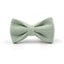 Mint Stripe Velvet Personalized Dog Collar Leash Harness Bowtie Poop Bag Set - iTalkPet
