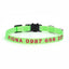 Nylon Embroidery Custom Cat Collar - iTalkPet