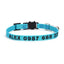 Nylon Embroidery Custom Cat Collar - iTalkPet
