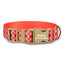 Orange Cute Personalized Dog Collar with Leas & Bow tie Set - iTalkPet