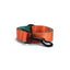 Orange Maze Personalized Dog Collar with Leas & Bow tie Set - iTalkPet