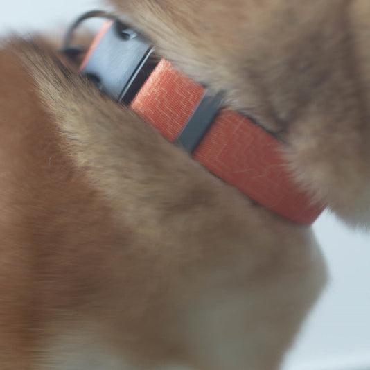 Orange Maze Personalized Dog Collar with Leas & Bow tie Set - iTalkPet