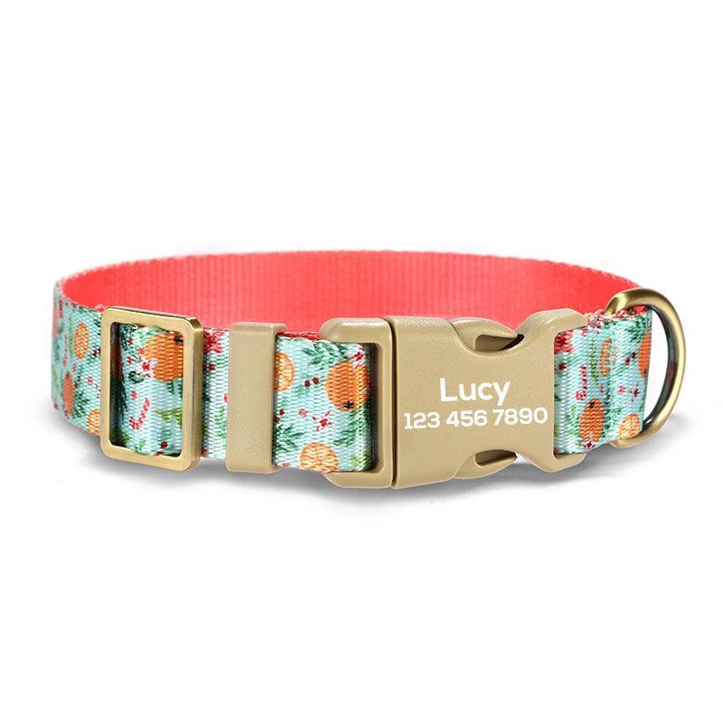 Orange Paradise Personalized Dog Collar with Leas & Bow tie Set - iTalkPet