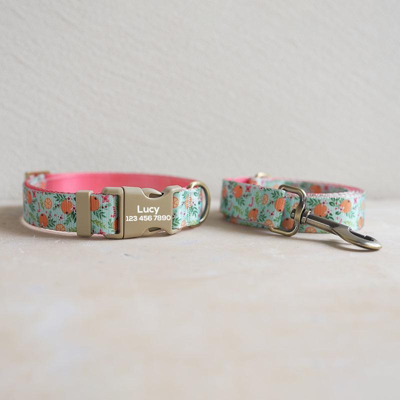 Orange Paradise Personalized Dog Collar with Leas & Bow tie Set - iTalkPet