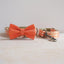 Orange Pumpkin Personalized Dog Collar with Leas & Bow tie Set - iTalkPet