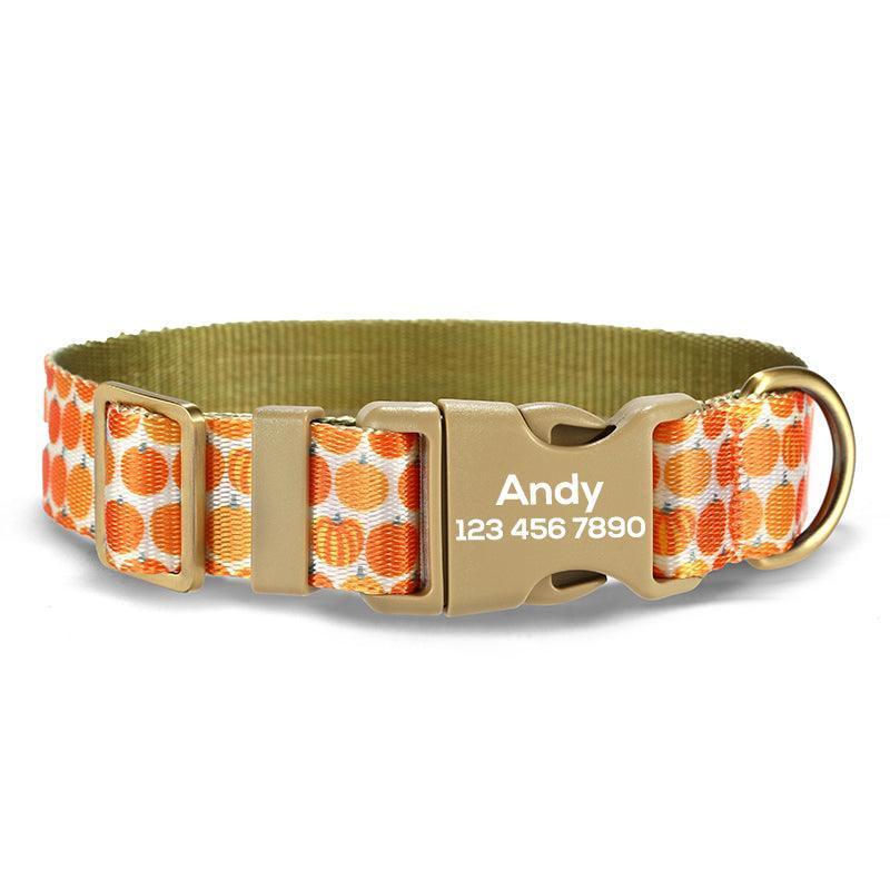 Orange Pumpkin Personalized Dog Collar with Leas & Bow tie Set - iTalkPet