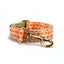 Orange Pumpkin Personalized Dog Collar with Leas & Bow tie Set - iTalkPet