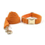 Orange Stripe Velvet Personalized Dog Collar Leash Harness Bowtie Poop Bag Set - iTalkPet