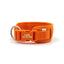 Orange Striped Solid Personalized Dog Collar - iTalkPet