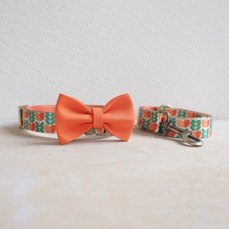 Orange Tulip Personalized Dog Collar with Leas & Bow tie Set - iTalkPet