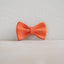 Orange Tulip Personalized Dog Collar with Leas & Bow tie Set - iTalkPet