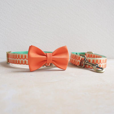 Orange Wave Personalized Dog Collar with Leas & Bow tie Set - iTalkPet
