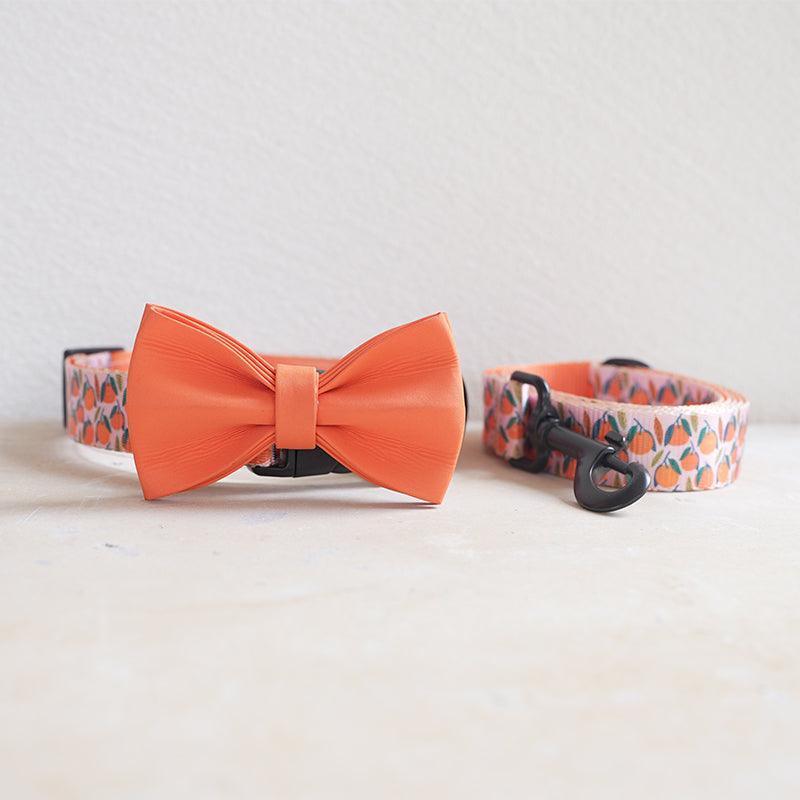 Oranges Personalized Dog Collar with Leas & Bow tie Set - iTalkPet