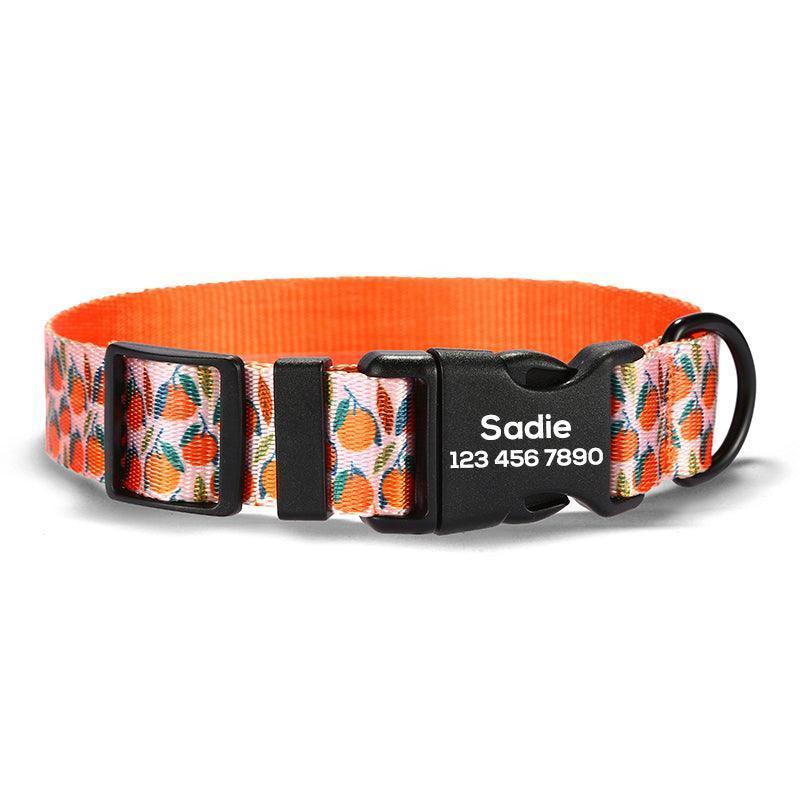 Oranges Personalized Dog Collar with Leas & Bow tie Set - iTalkPet