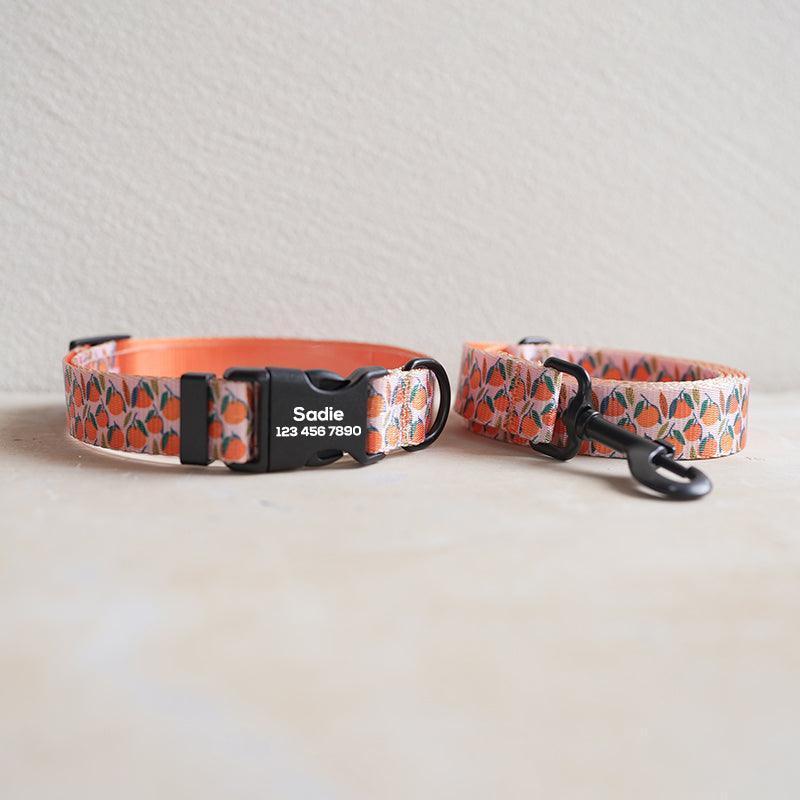 Oranges Personalized Dog Collar with Leas & Bow tie Set - iTalkPet