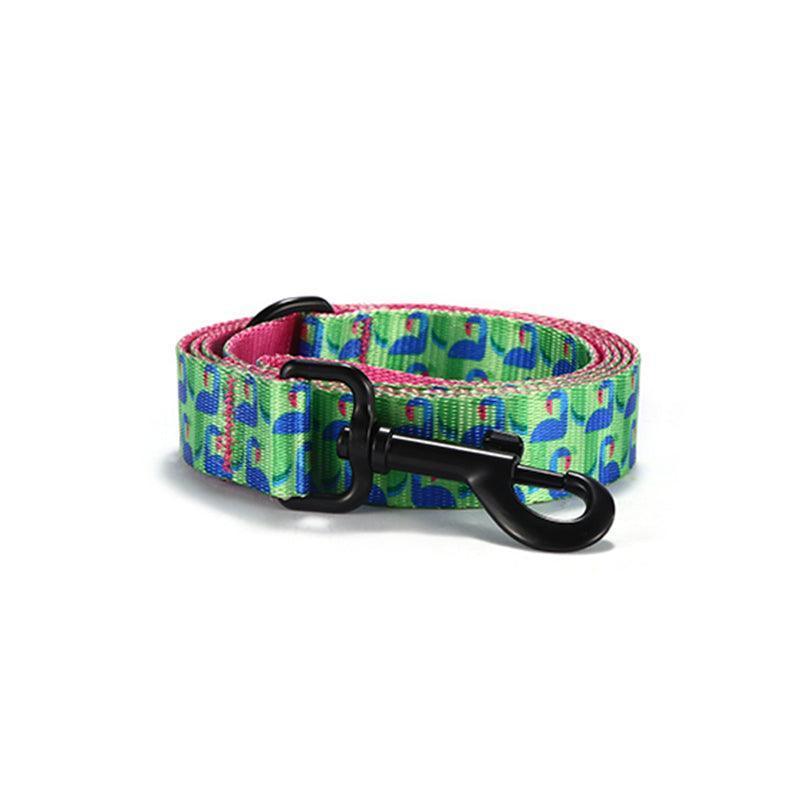 Peacock Personalized Dog Collar with Leas & Bow tie Set - iTalkPet