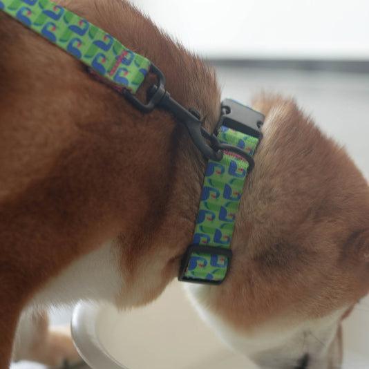 Peacock Personalized Dog Collar with Leas & Bow tie Set - iTalkPet