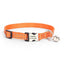Personalized Cat Collar - Adjustable Reflective Cat Collar with Bell - iTalkPet