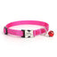 Personalized Cat Collar - Adjustable Reflective Cat Collar with Bell - iTalkPet