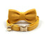 Personalized Cat Velvet Collar with Bell & Bow Tie - iTalkPet