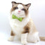 Personalized Cat Velvet Collar with Bell & Bow Tie - iTalkPet