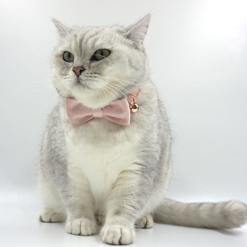 Personalized Cat Velvet Collar with Bell & Bow Tie - iTalkPet