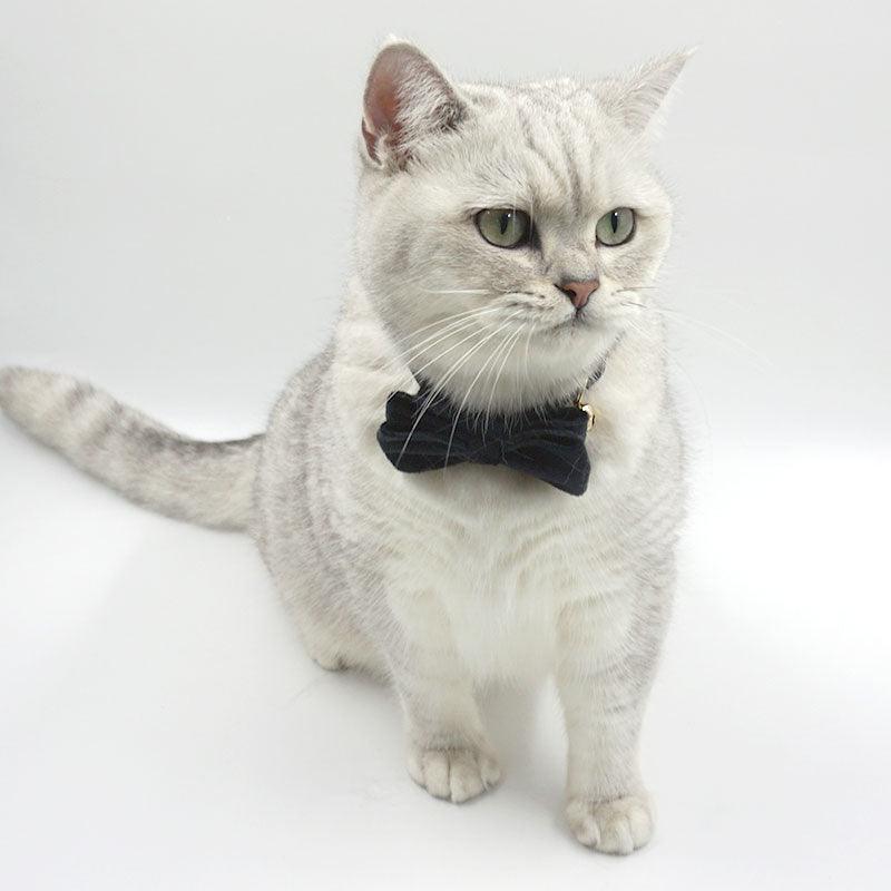 Personalized Cat Velvet Collar with Bell & Bow Tie - iTalkPet